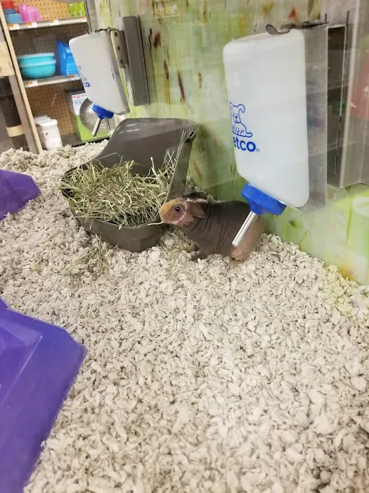 Petco Picture 9