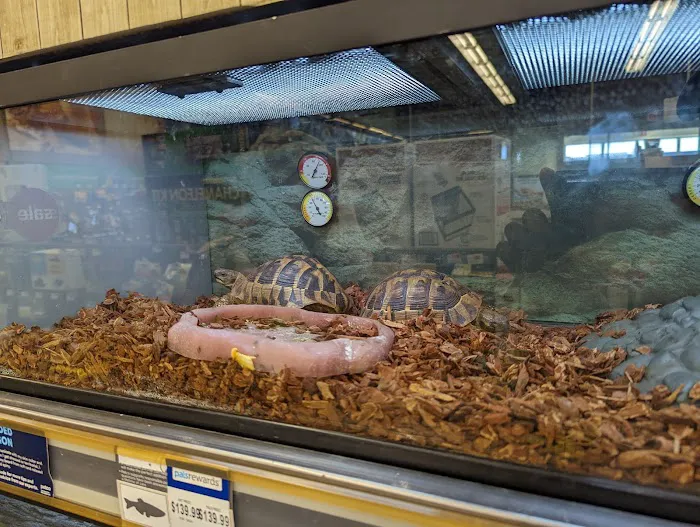 Petco Picture 3