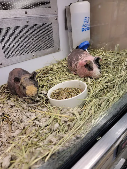 Petco Picture 10