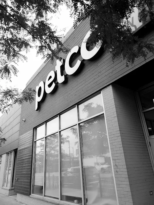 Petco Picture 7