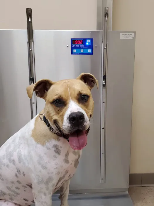 Twins Veterinary Hospital Picture 2