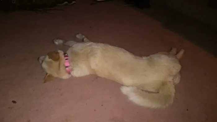 Almond Veterinary Hospital Picture 1