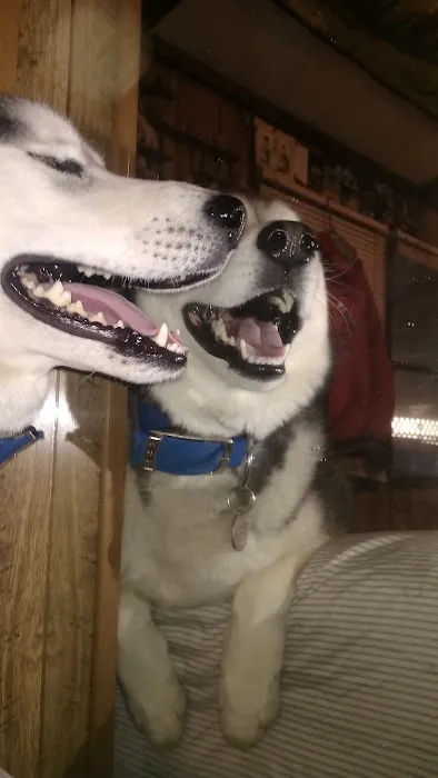 Almond Veterinary Hospital Picture 5