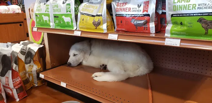 Kriser's Natural Pet Picture 9