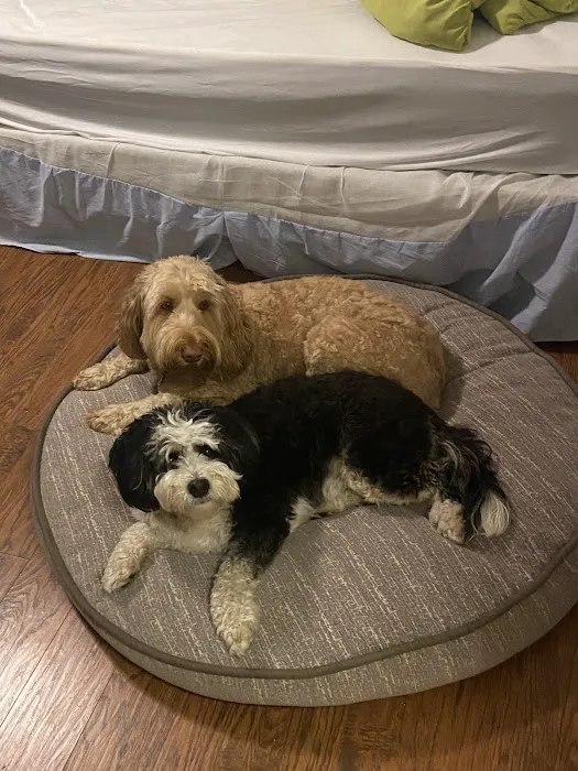 Kriser's Natural Pet Picture 4