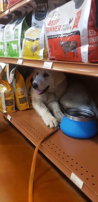 Kriser's Natural Pet Picture 2