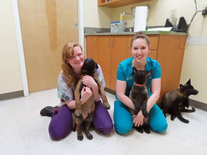 Dansville Animal Hospital Picture 3