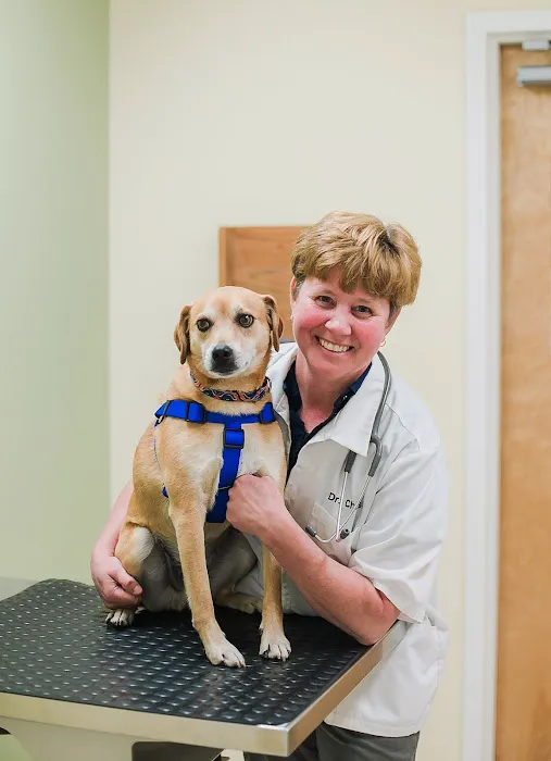 Dansville Animal Hospital Picture 1