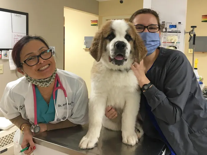 Dansville Animal Hospital Picture 7