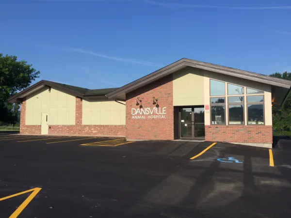 Dansville Animal Hospital Picture 9