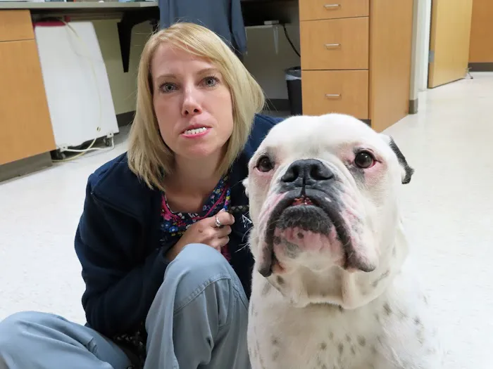 Dansville Animal Hospital Picture 8