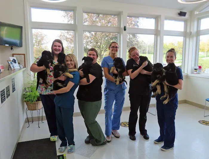 Dansville Animal Hospital Picture 4