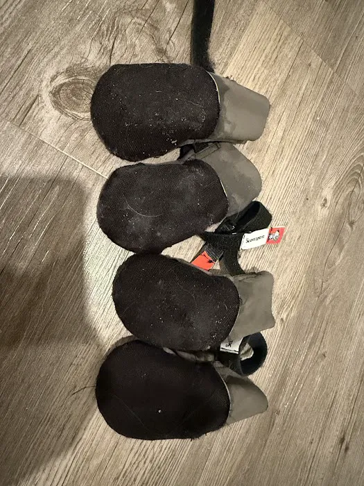 Saltsox Picture 2