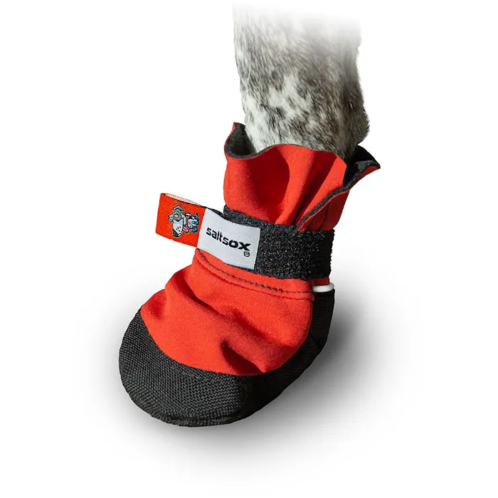 Saltsox Picture 7