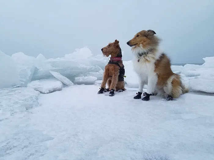 Saltsox Picture 5