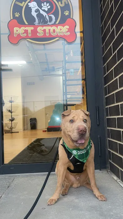 Lucky's Pet Store Picture 6
