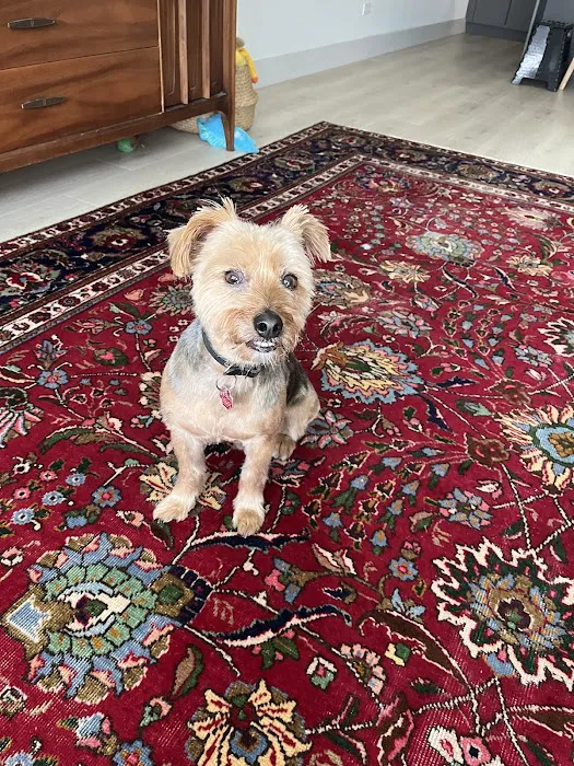 Lucky's Pet Store Picture 3