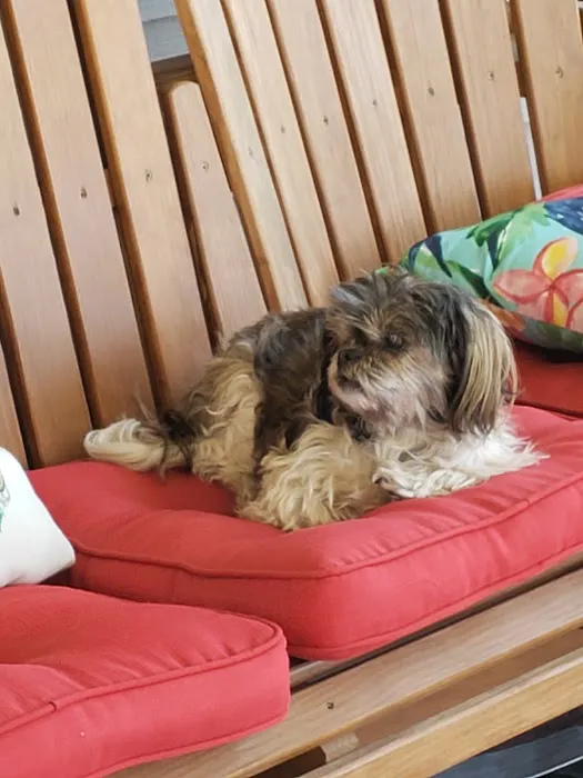 Troy Veterinary Clinic Picture 3