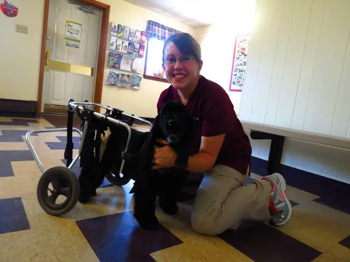 Troy Veterinary Clinic Picture 7