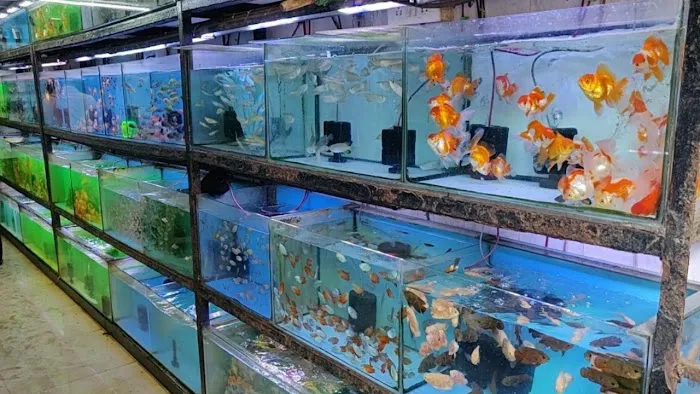 Living Color Aquarium Picture 1