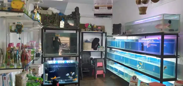 Living Color Aquarium Picture 2