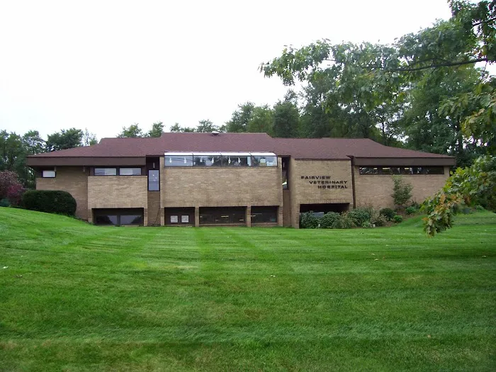 Fairview Veterinary Hospital Picture 5