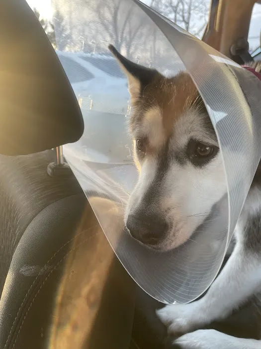 Fairview Veterinary Hospital Picture 9
