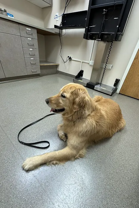 Fairview Veterinary Hospital Picture 1
