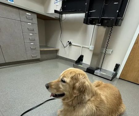 Fairview Veterinary Hospital