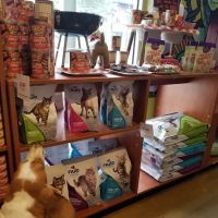 Kriser's Natural Pet ico