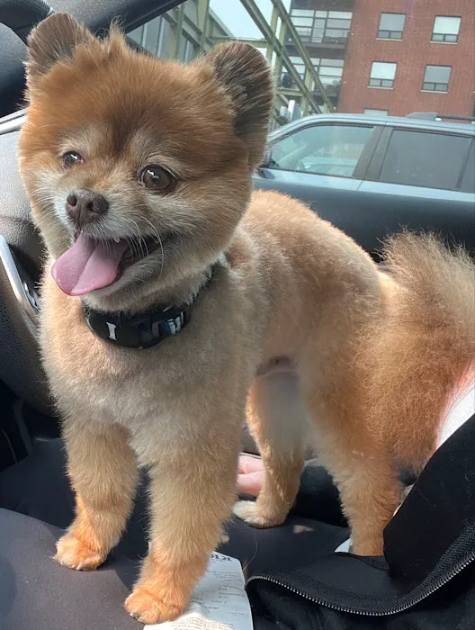 Kriser's Natural Pet Picture 8