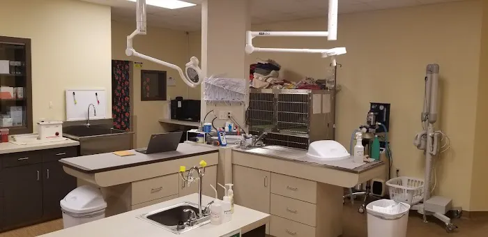 Victor Vet Care Picture 9