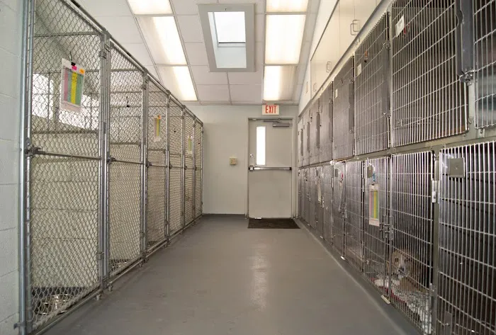 Perinton Veterinary Hospital Picture 10