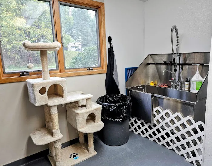 Perinton Veterinary Hospital Picture 9