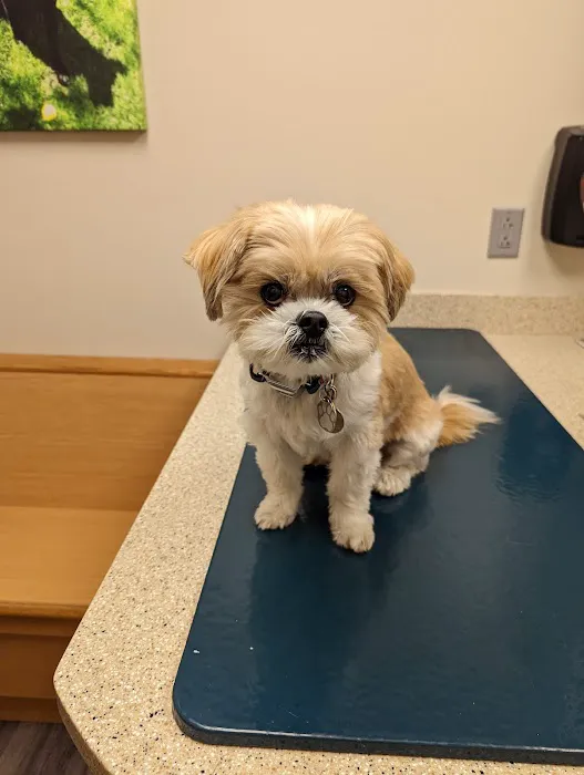 Perinton Veterinary Hospital Picture 3