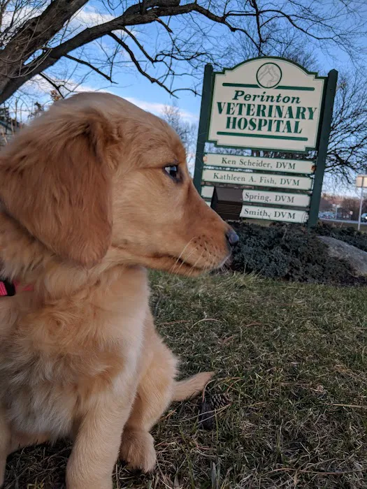 Perinton Veterinary Hospital Picture 7