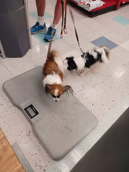 Petco Picture 4