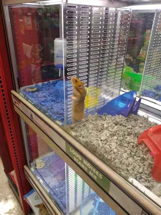 Petco Picture 9