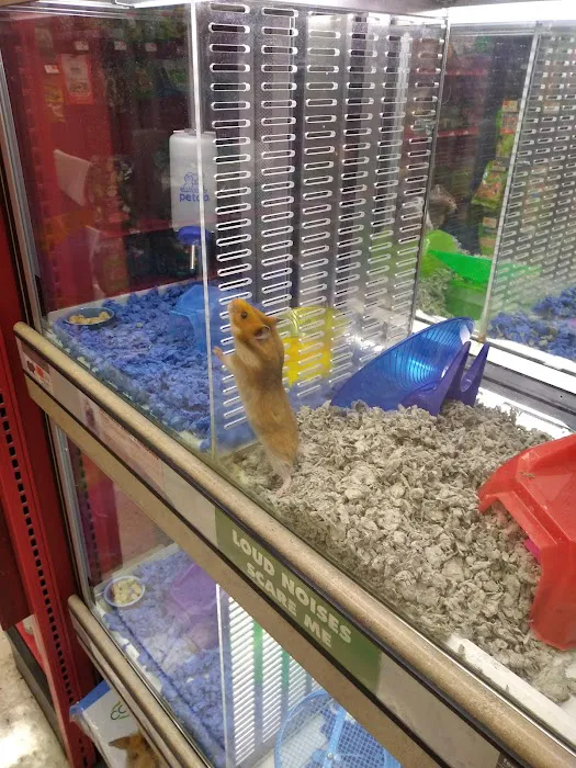 Petco Picture 10