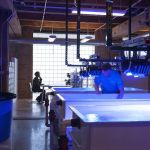 Aquamoon, LLC