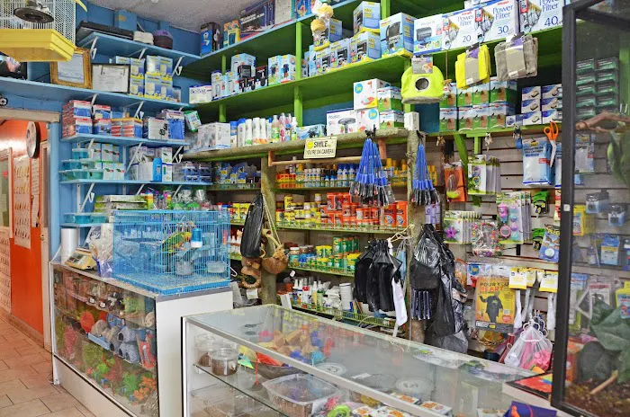 Paradise De Aves Pet Shop Picture 8