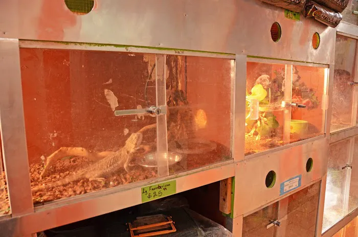 Paradise De Aves Pet Shop Picture 4