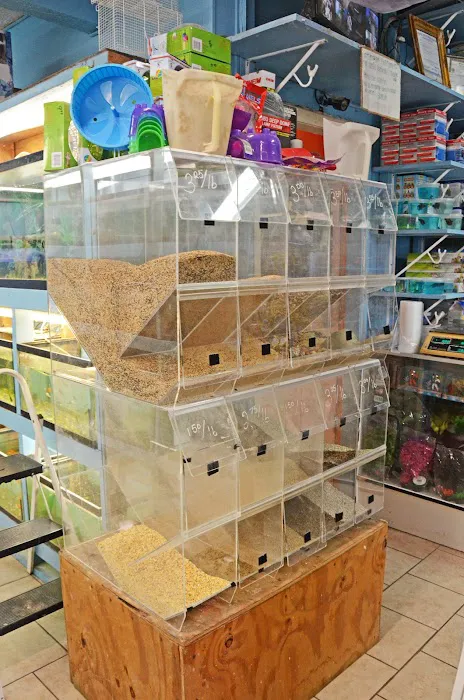 Paradise De Aves Pet Shop Picture 2