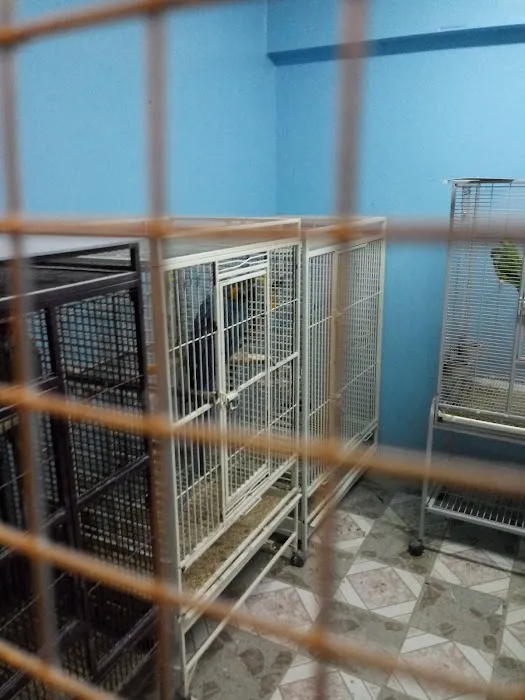 Paradise De Aves Pet Shop Picture 6