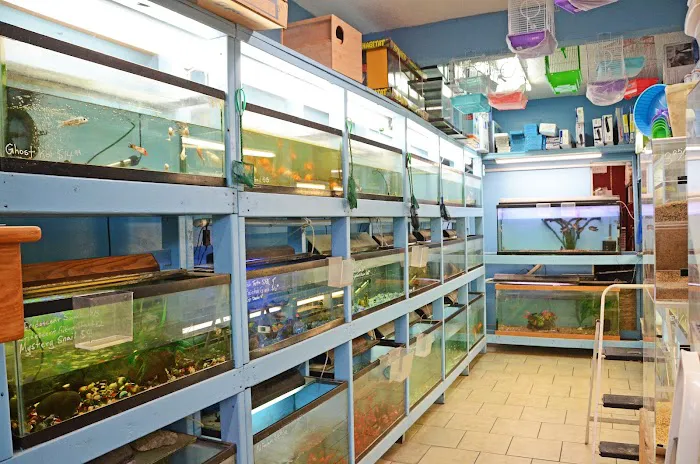 Paradise De Aves Pet Shop Picture 1