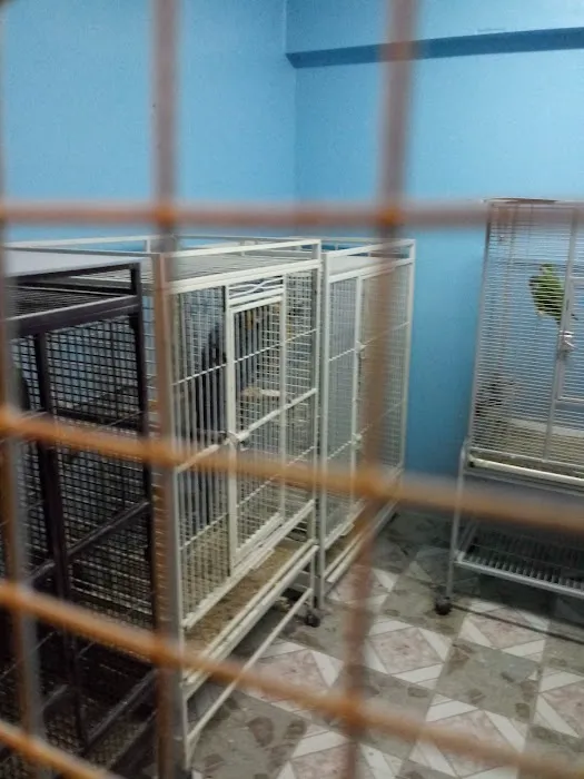 Paradise De Aves Pet Shop Picture 10