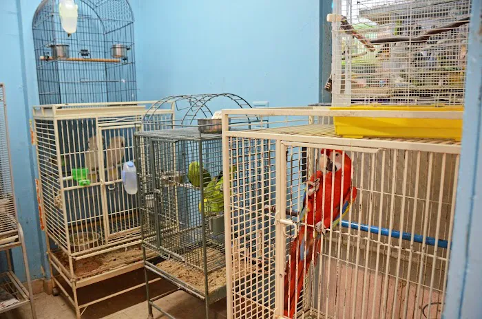 Paradise De Aves Pet Shop Picture 5