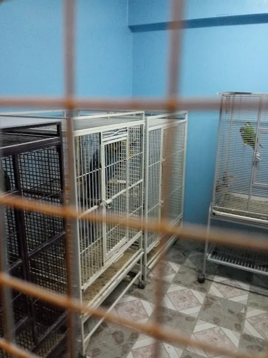 Paradise De Aves Pet Shop Picture 9