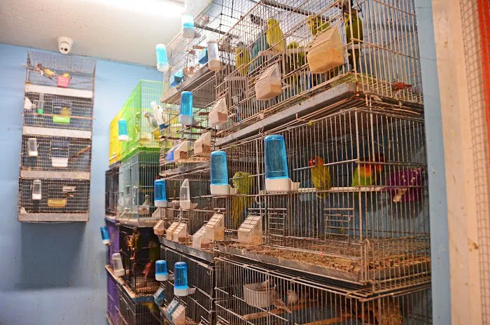 Paradise De Aves Pet Shop Picture 3