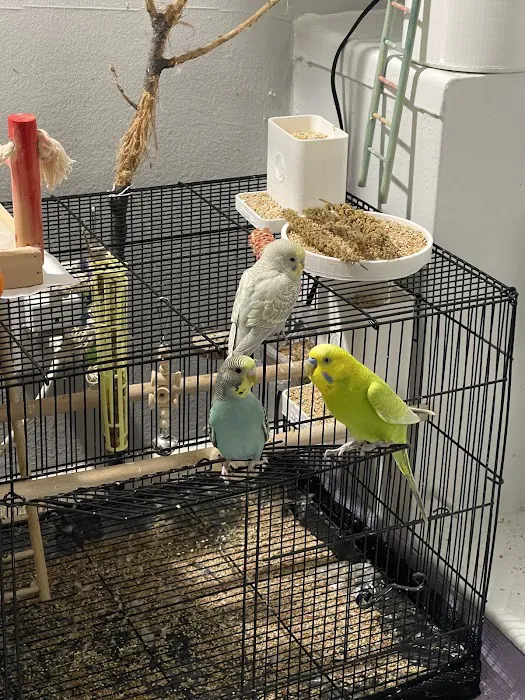 Chicago Pet Store Picture 7